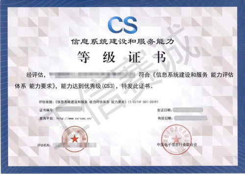 CS认证首次申请级别指南 软件开发类企业可直接申请几级？